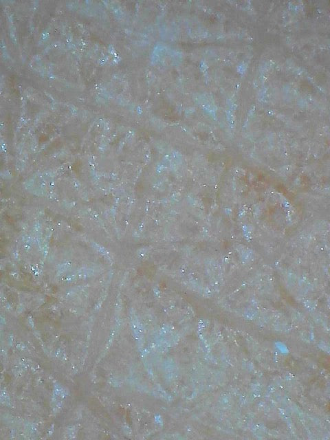Skin texture close-up